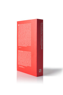 Socrealizmy i modernizacje